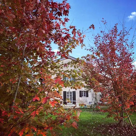 Romantic Garden Parking In Podere Merlo *
